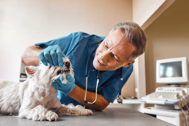 Best Emergency Tooth Extraction in Kimberly, AL